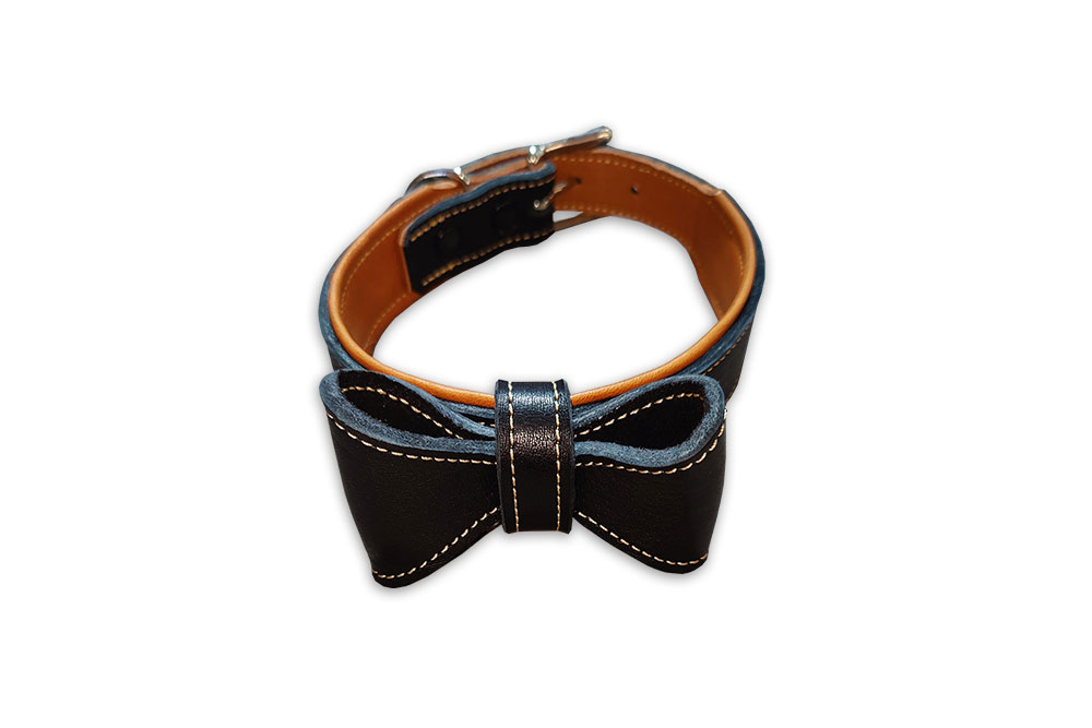 Hundehalsband, farbig